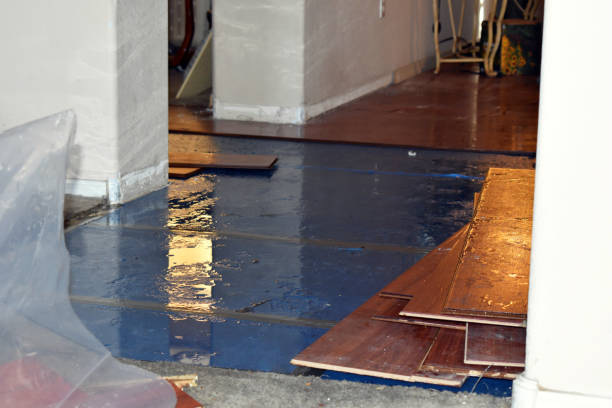 Professional Water Damage Repair technician working in Isle Saint George, OH